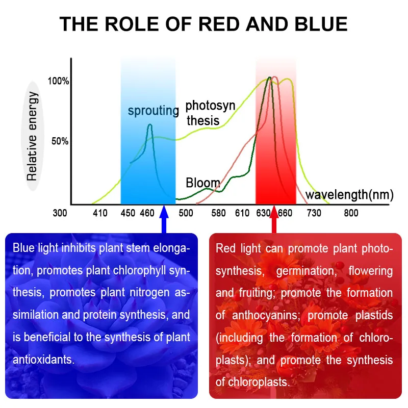 LED Plant Grow Strip lights Full Spectrum Flower phyto lamp Waterproof for Greenhouse Hydroponic Growth Light +Power adapter