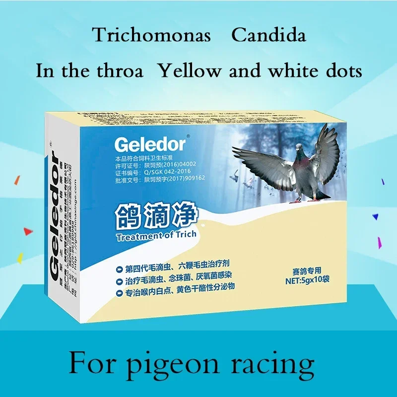 Trichomonas candida pigeon medicine pigeon drip net homing parrot bird special common diseases