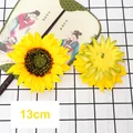 Sunflower Head 4