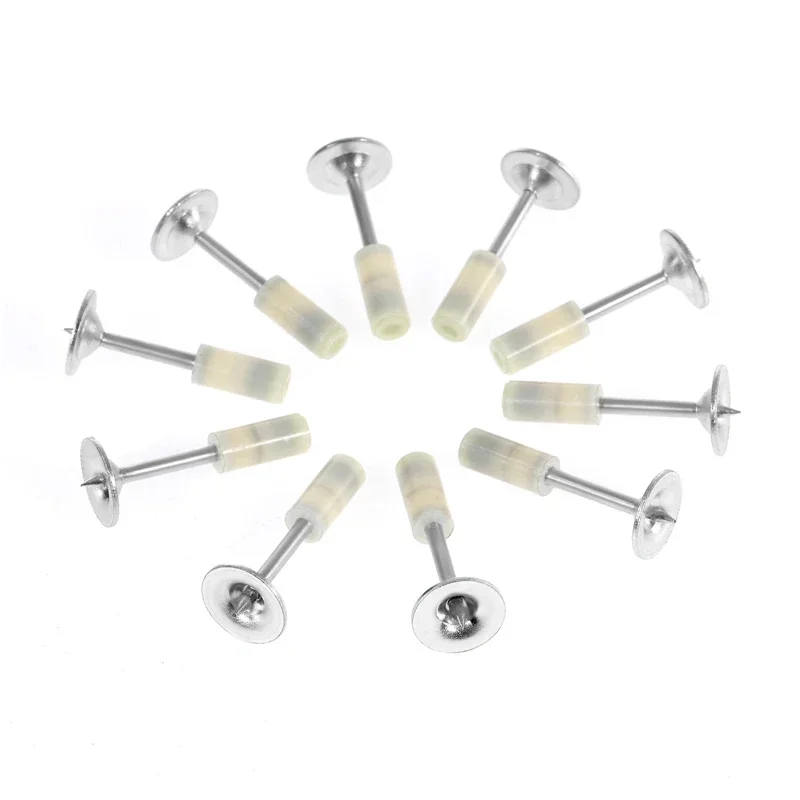 Rolnagels Recht 0° Nagels RVS op plastic band gebonden