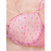 Lingerie audacieuse pour femmes, ensemble soutien-gorge et culotte en Tulle rose, broderie délicate, sous-vêtements romantiques pour femmes, Lingerie intime et Sexy 4