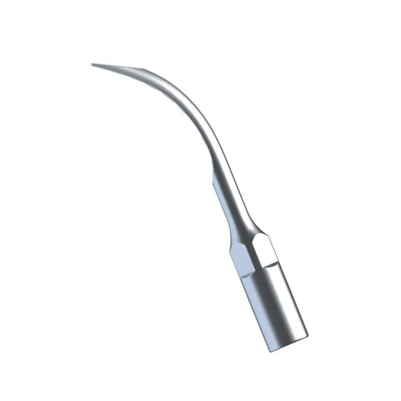 5Pcs G6 Punte Per Scaler Ad Ultrasuoni Dentali G6 Punta Per Scaling Piezo G6 Per Ems/Picchio/Mectron/Henryschein
