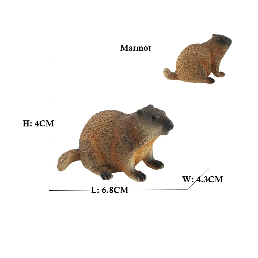 Capibara Wildlife Plastic Animal Figurines - Collectible Toy
