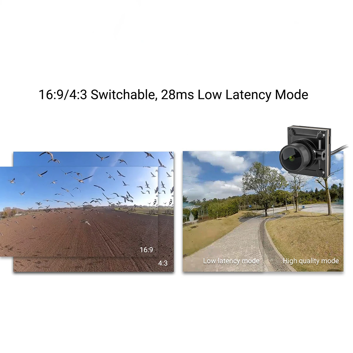 Slide image 7b5816a49109446e9c1158dca51bad16