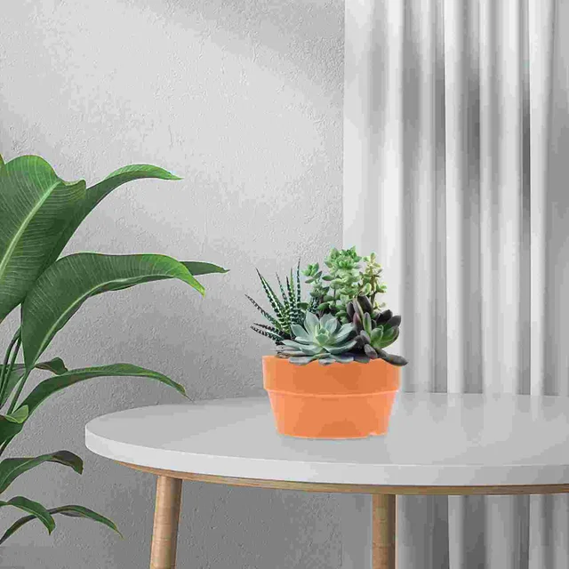 Edény Ültetvény Zamatos Sekély Virágcserepek Bonsai Terrakotta Óvoda Műanyag Kerámia Induló Lapos Ültetvények Kerek Edzés Kotta - Image 5