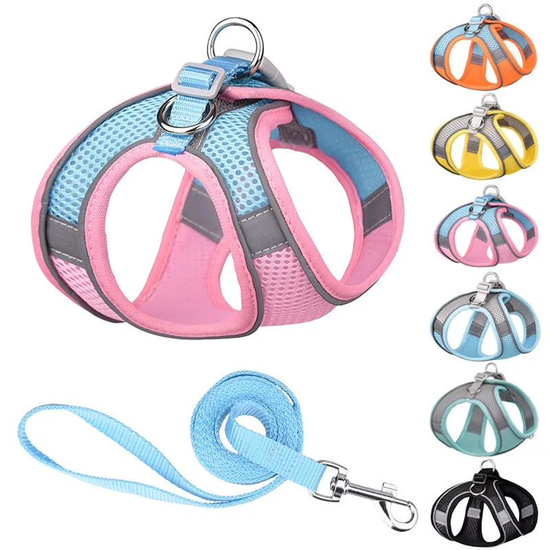 Dog Harness Leash Set for Small Dogs 1