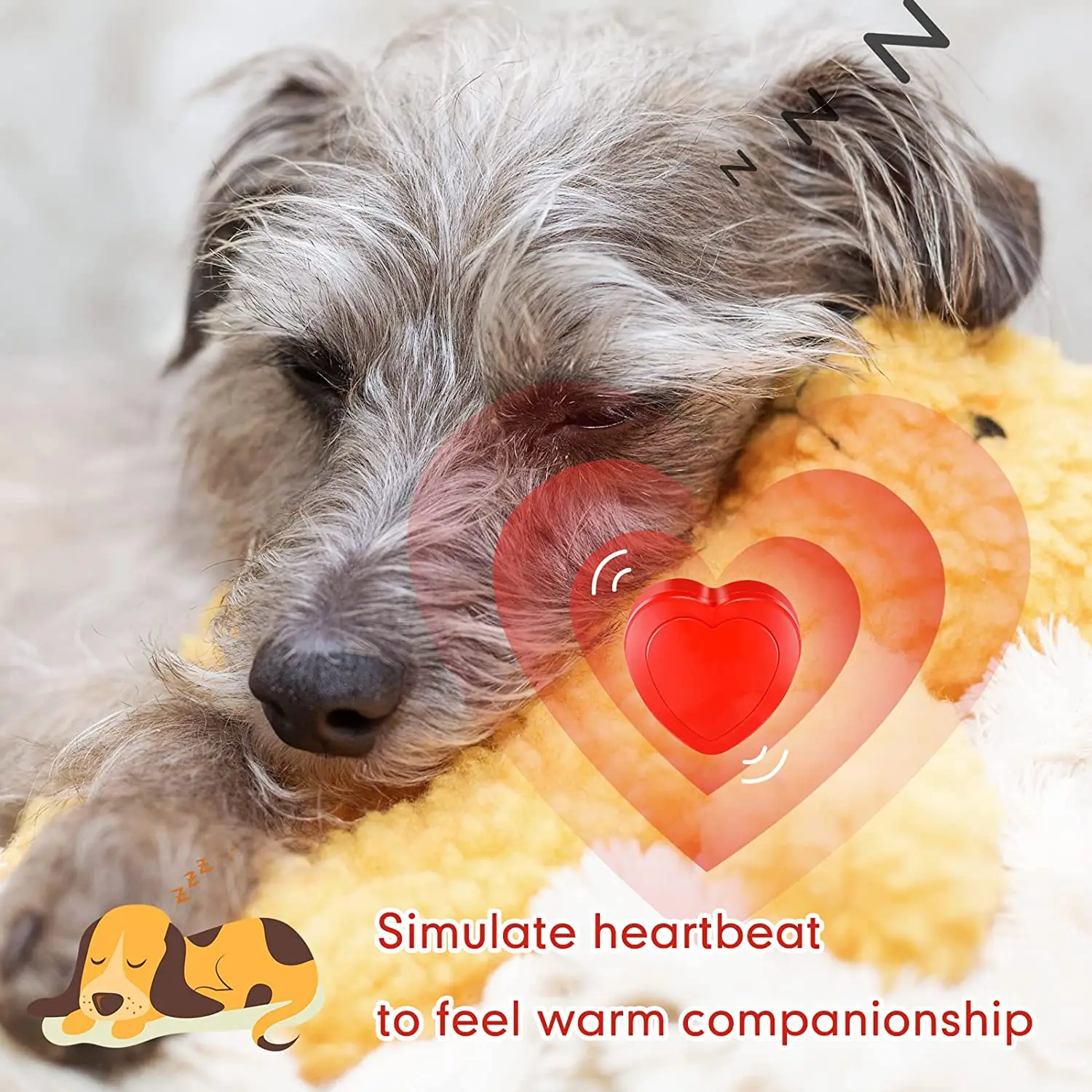 https://ae01.alicdn.com/kf/Sa6312adcd18d4ac8b18d8ee6e35955e0O/Heartbeat-Toy-for-Puppy-Realistic-Heartbeat-Calm-Your-Pet-Relieve-Anxiety-Stuffed-Toy-Comfortable-Behavioral-Training.jpg