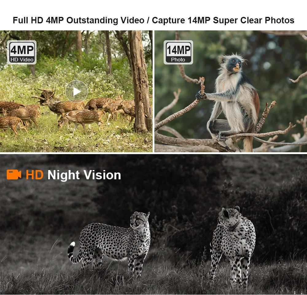 LS VISION 4G SIM Solar Wild Camera Outdoor 4MP Hunting Trail Camera Motion Activ