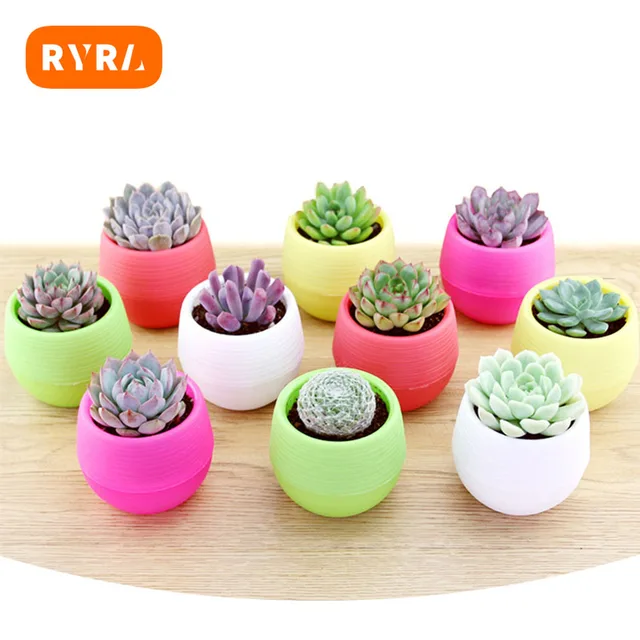 Mini Virágcserepek Műanyag Növényi Kis Virágkert Színes Plasztikai Óvodai Edények Otthoni Zamatos Növényekhez Virágpot Dekoráció
