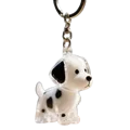 Black Spotted dog