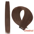 Chestnut