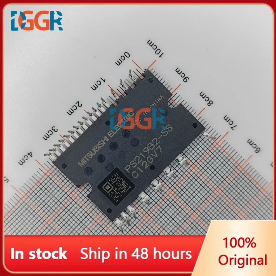 DGGR PS219B2-SS MODUL Auf Lager 48 Stunden Versand PS219B2 SPM24 Nur neue Original-IC-Chip-Großhandelsunternehmen