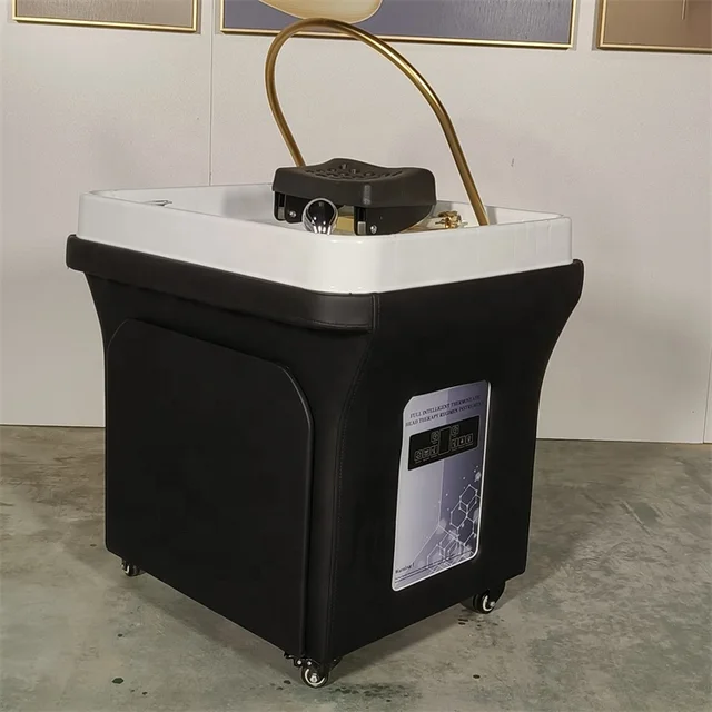 Customization Color Manufacturer Beauty Spa Salon Furniture Massage Portable Shampoo Bowl Chair Bed with Head Therapy