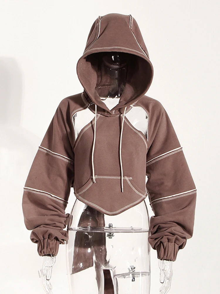 [EAM] Brown Back Bow Irregular Cut-out Sweatshirt New Hooded Long Sleeve Women Big Size Fashion Tide Spring Autumn 2026 1DF1820