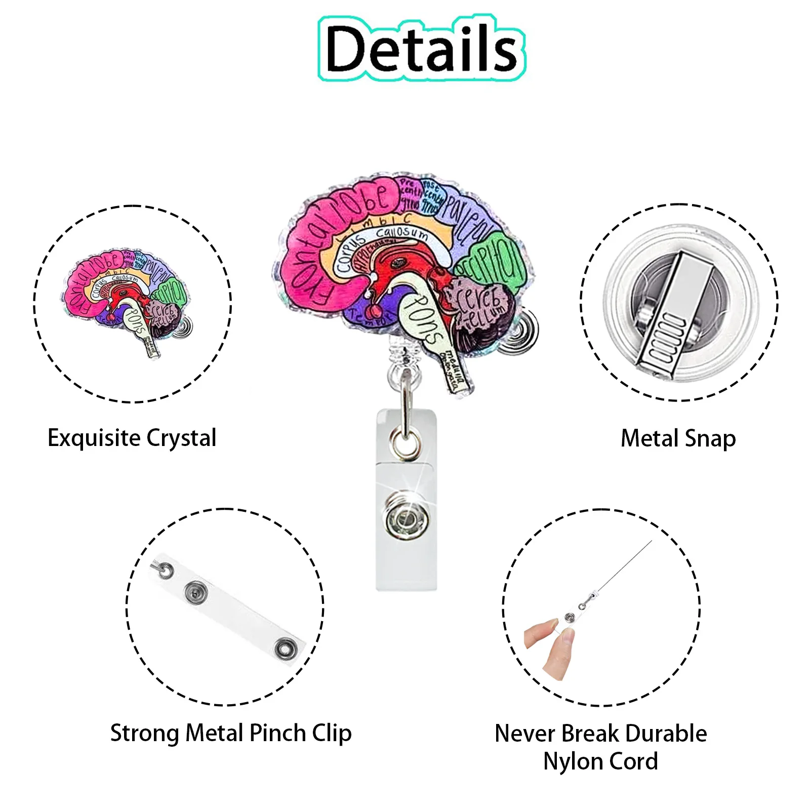 Creative Acrylic Heart Lung Brain Kidney Uterus Intestine Badge Reel Retractable Alligator Clip ID Card Holder for Nurse Doctor 3