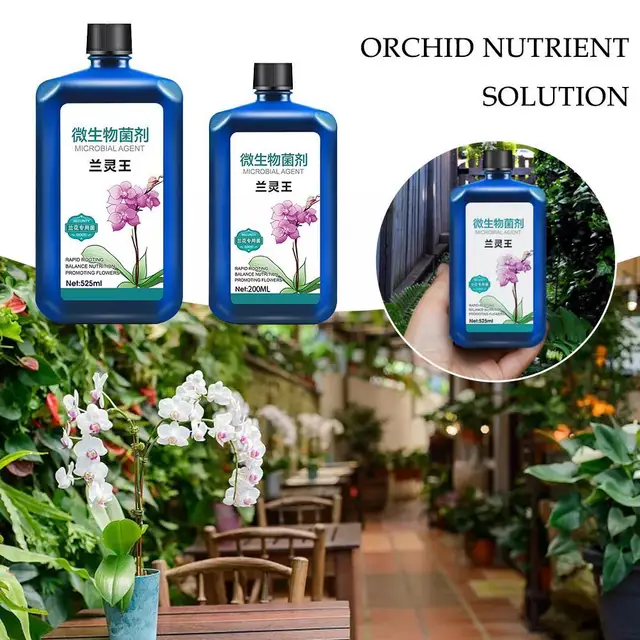 Növényi Tápanyagoldat Orchideák Növekedése Fokozó Kiegészítők Műtrágyák Virágzó Auxin Tápanyag -Folyadék Gyökereződés M8M4 - Image 5