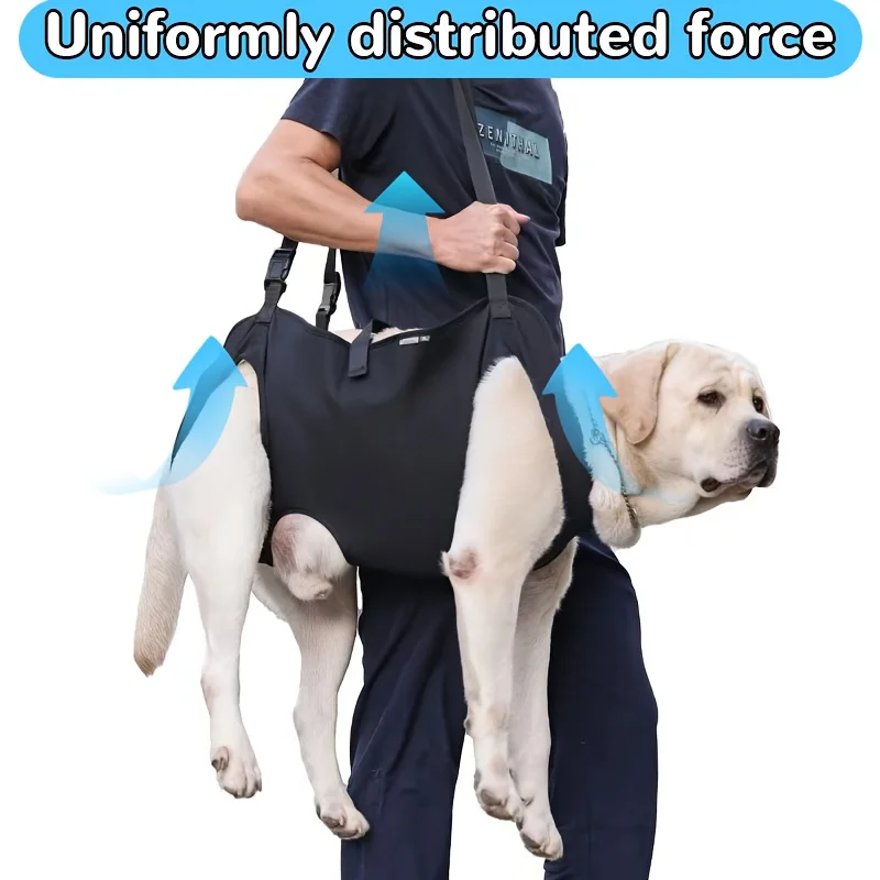 Dog Support Lift 2