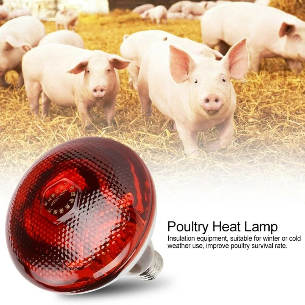 

220V Poultry Heating Bulb 100/150/200/275W Infrared Insulation Heating for Reptiles Plants Amphibians Turtles Pets Livestock