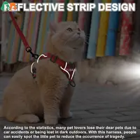 Cat Harness and Leash Set