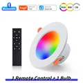 1 bulb 1 remote