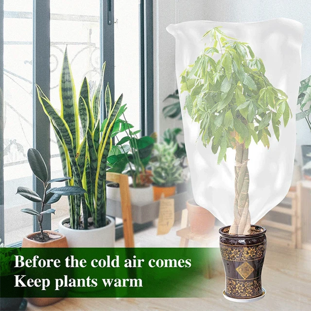 Növényi Burkolat Fagyasztva Védelem Vastag Téli Növényvédő Táska Fa Fagy Takaró Fagyasztó Meleg Növény Fu - Image 2