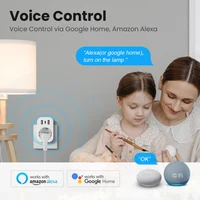 Tuya WiFi Smart Plug 16A EU Smart Socket AC Power Outlet USB Type C Phone Charger Home Appliance Works with Alexa Google - Image 3
