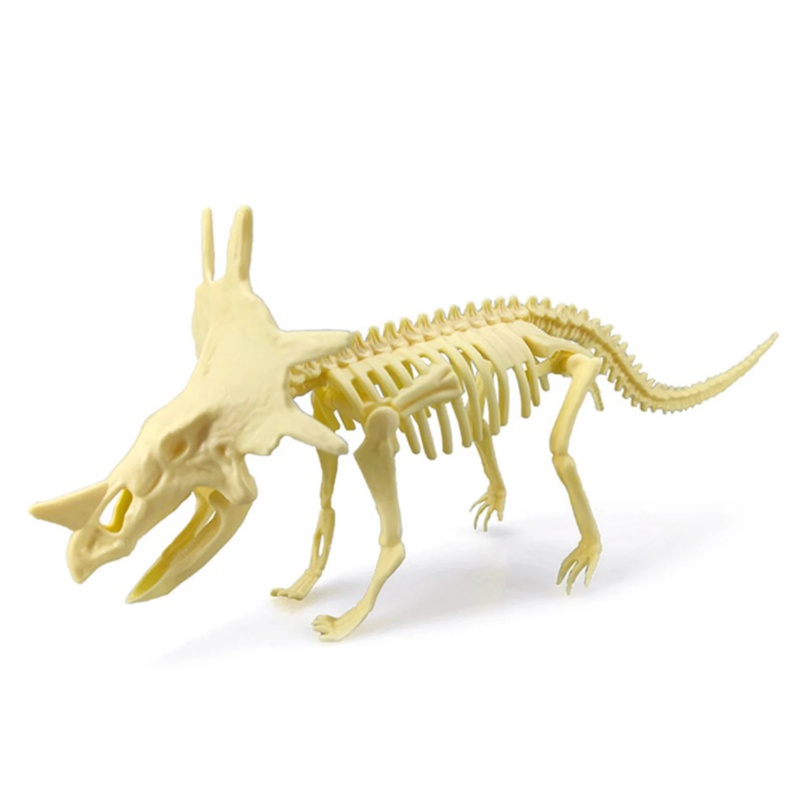 3D Skeleton Dinosaur Hands Craft 7 Pieces DIY Dinosaur Bone 3D Puzzles for Adults Dinosaurs Skeleton Model Puzzles STEM Toys 4