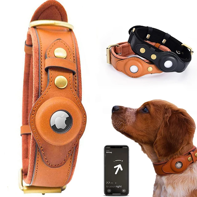 Support de collier Airtag pour chien, Anti-perte, pour Apple