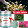 500g Ferrous Sulfate Flower Fertilizer Soil Improvement Acid Rose Rose Camellia Green Laurel Orchid Yellow Leaf Fertilizer 1