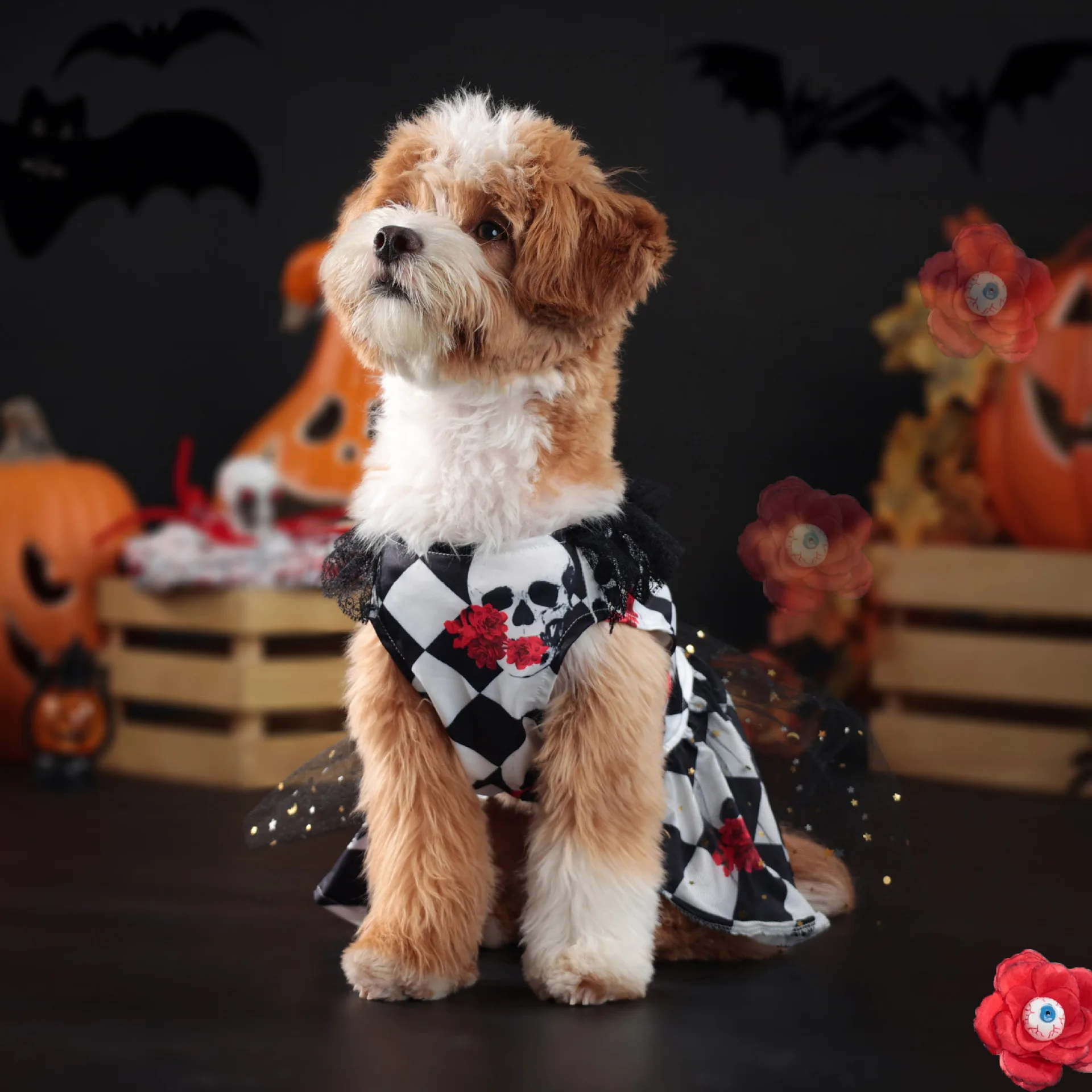 Robe Halloween Damier Noir Et Blanc Squelette Avec Fleurs - 2025 - Vêtement et accessoires pour chiens - Doglovedesign