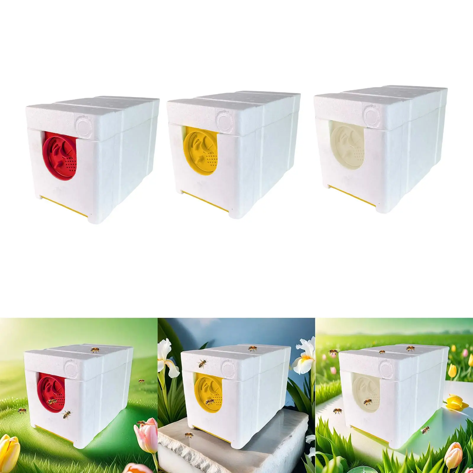 Queen Bee Breeding Box Beekeeper Supplies Bee Queen Mini Mating NUC Box