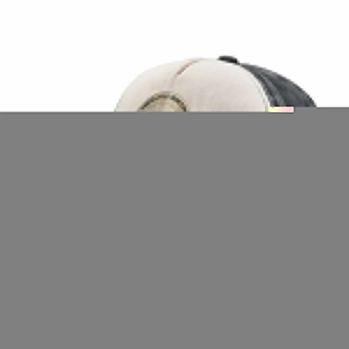 

Versatile Hunting Dog, Deutsch Drahthaar Baseball Cap Custom Cap derby hat Hats Man Women's