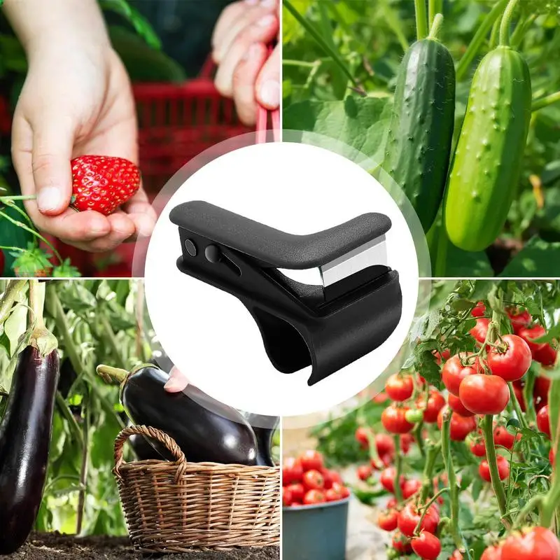 Thumb Pruner Thumb Knives Harvesting Tool Fruit Picking Nail Gardening Separator Fitting Finger Knives for farm greenhouse