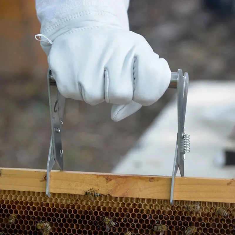 Beekeeping Tools Stainless Steel Bee Hive Frames Holder 6PCS