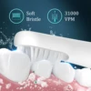 SEJOY Oral Cleaning Sonic Electric Toothbrush Personal Care Appliances IPX7 3 Modes Smart Rechargeable Automatic Toothbrush 2