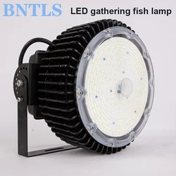 LED 수집 물고기 램프, LED 물고기 조명, 물고기 트랩 스펙트럼, 고효율 물고기 트랩, 800W