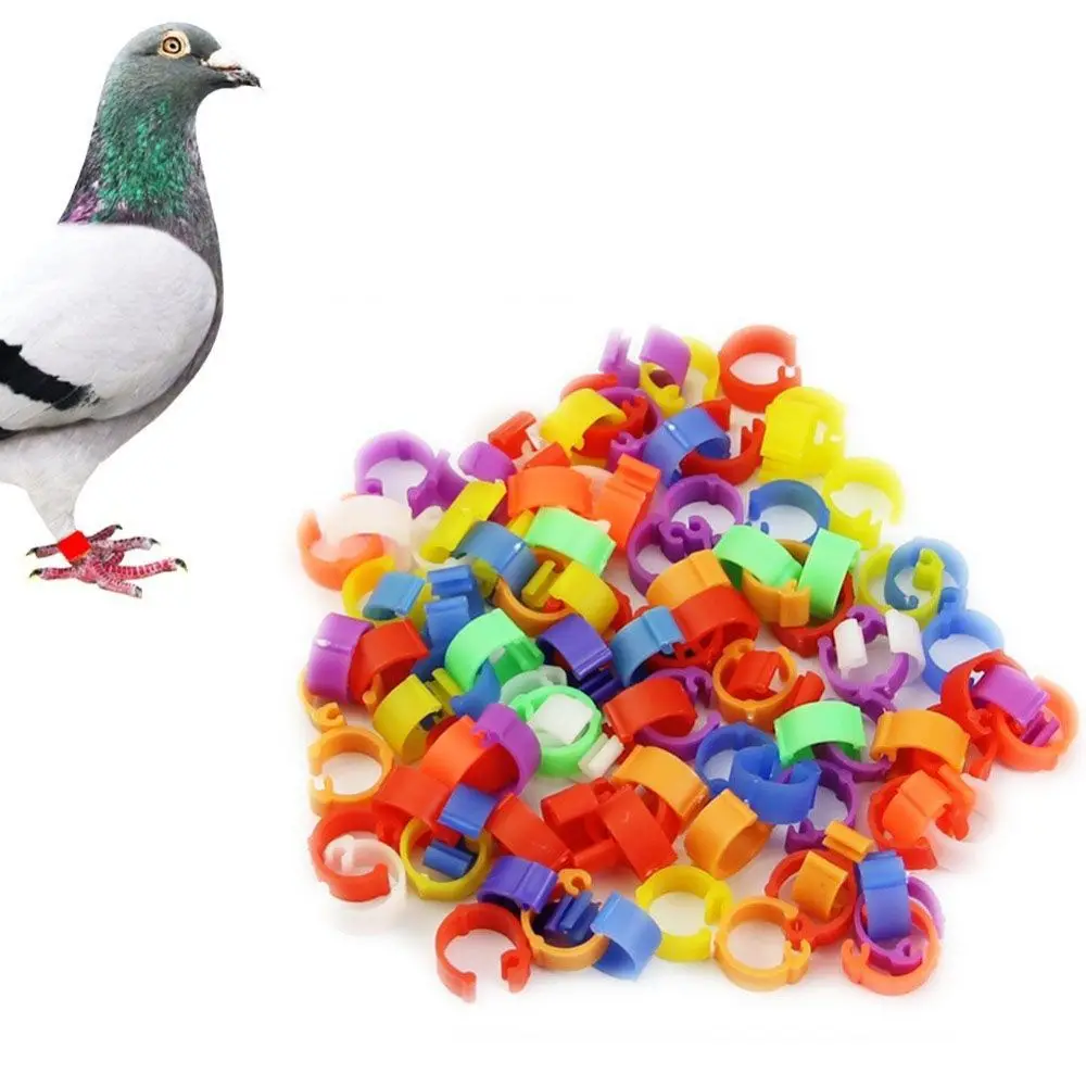 

100pcs Useful Plastic Home Garden Birds Pet Products Clip Rings Pigeon Poultry Leg Rings Color Randomly