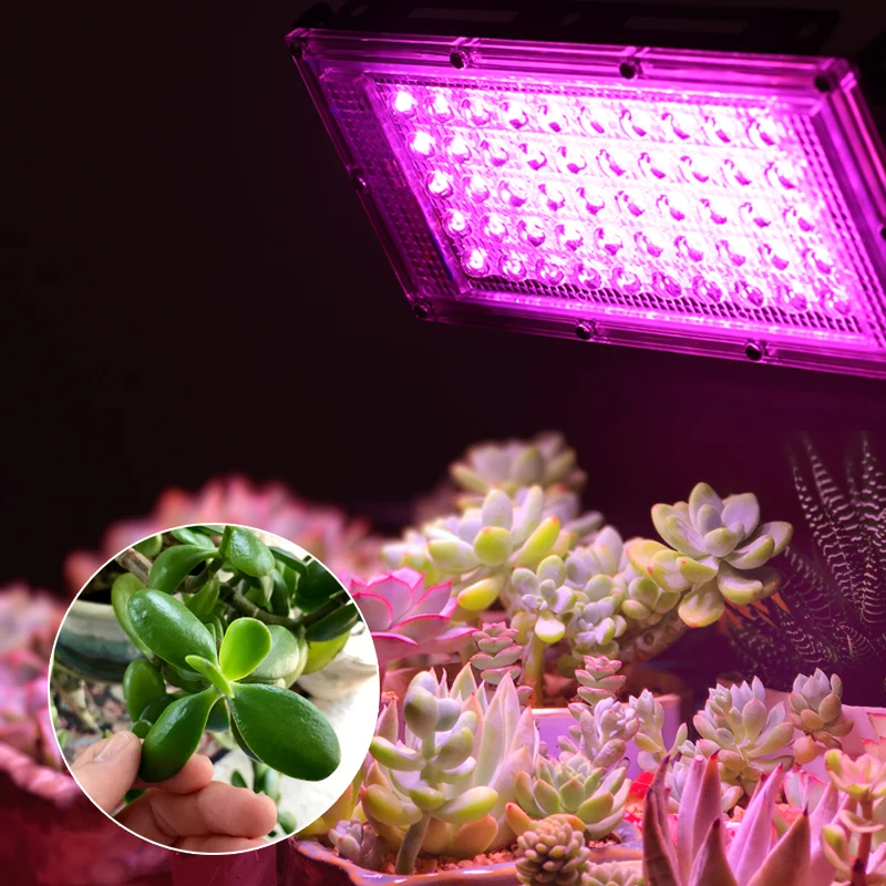 1/4Pcs Led Floodlight Full Spectrum LED Plant Growth Lamp Led Spotlight Projector Streetlight Led Grow Light Hydroponics