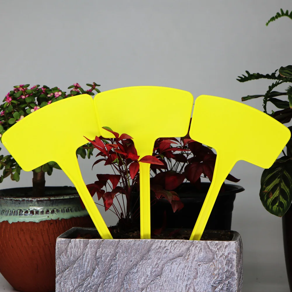 100 Etichette Per Piante In Plastica Gialle – Impermeabili E Riutilizzabili, 10x2 Cm
