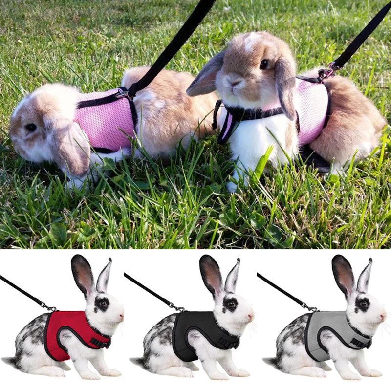 Solid Adjustable Pet Harness and Leash for Rabbit Bunny Cat Ferrets