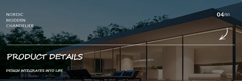 Contemporary Ceiling Light