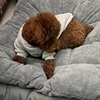 New 2025 Hot Sale 120*60cm Extra Large Sofa-style Dog Bed Home Plush Super Soft Polyester Pet Mat Thickened For Large Dogs 6