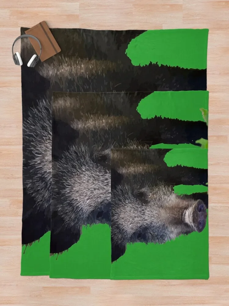 ����� ����� �� ���� ���� ��Ʈ ������ ���,  ��� ������ �м� ���� ���