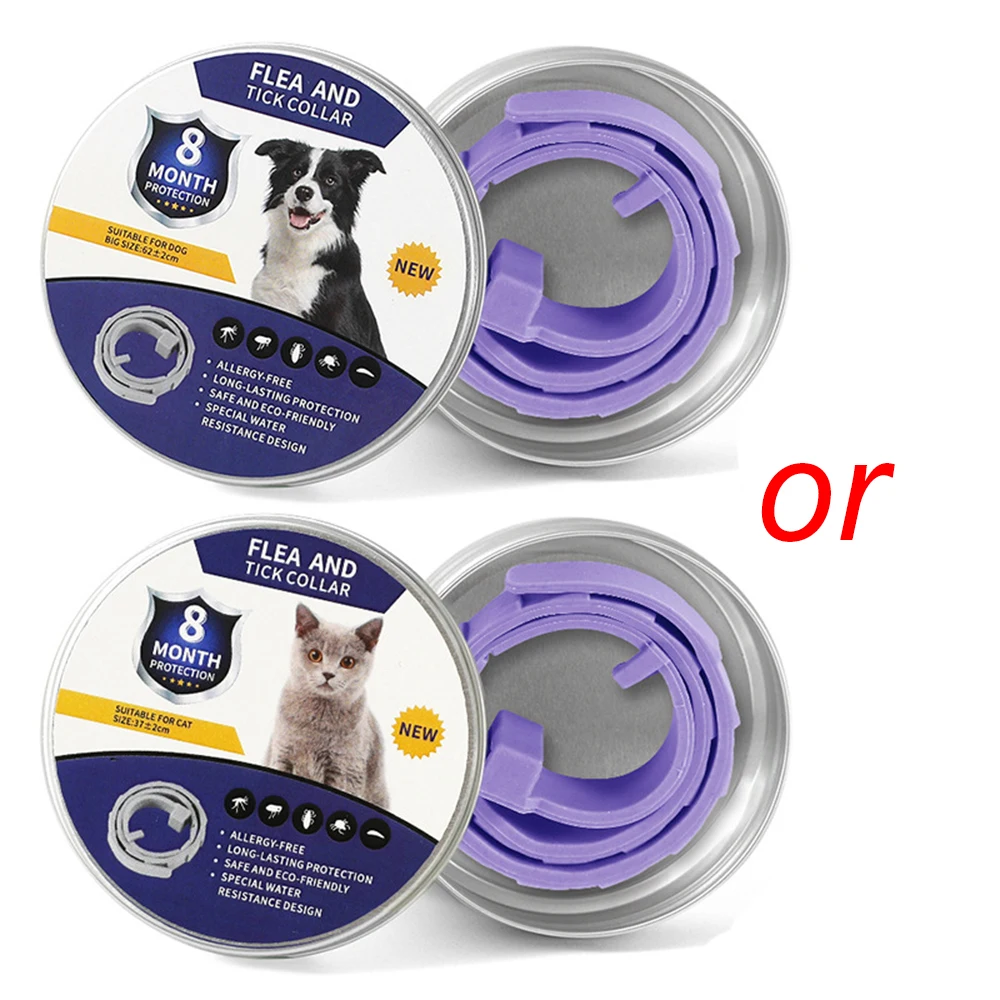Box Purple