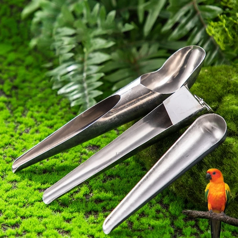 

3 шт./набор, ложка для кормления птиц, из нержавеющей стали