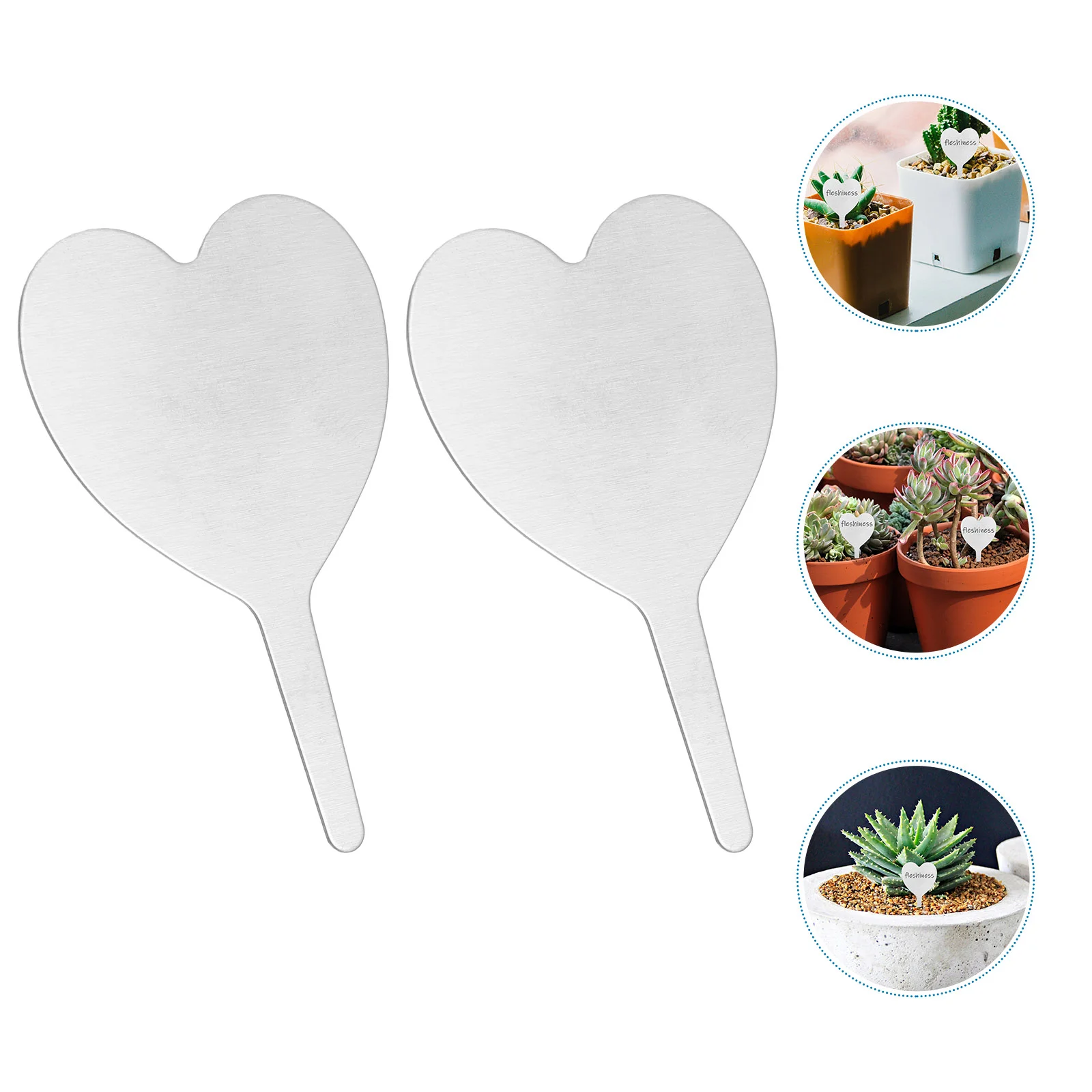 

50 Pcs Plant Metal Tags Labels for Plants Garden Plates Waterproof Markers Signs 100 Tree Marking Gardening The Food