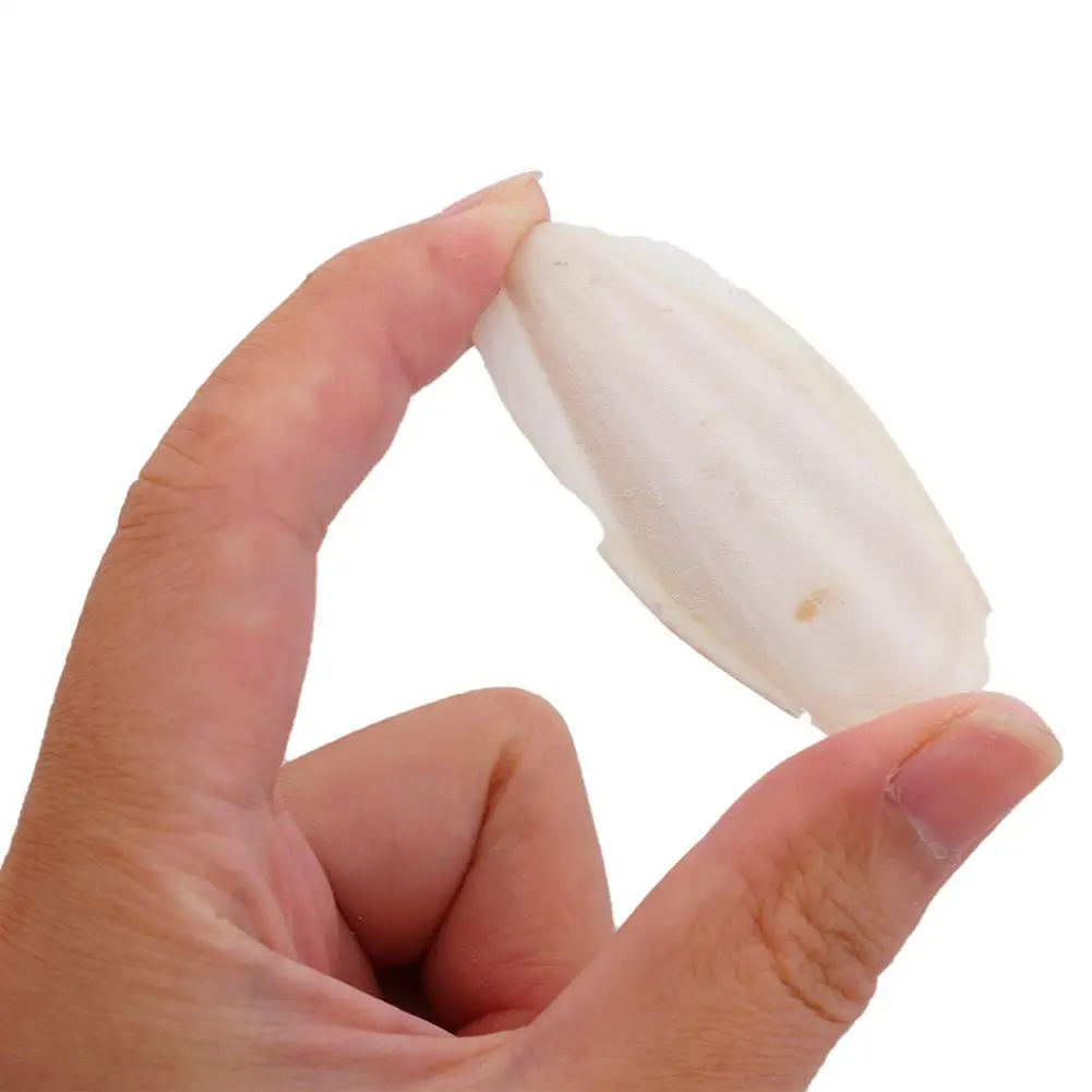 Parrot toy bird toy Cuttlefish bone For parrot Natural cuddle bone chew toys Chewing cuttlebone Easy to absorb Exercise pet's sensitivity 10Pcs