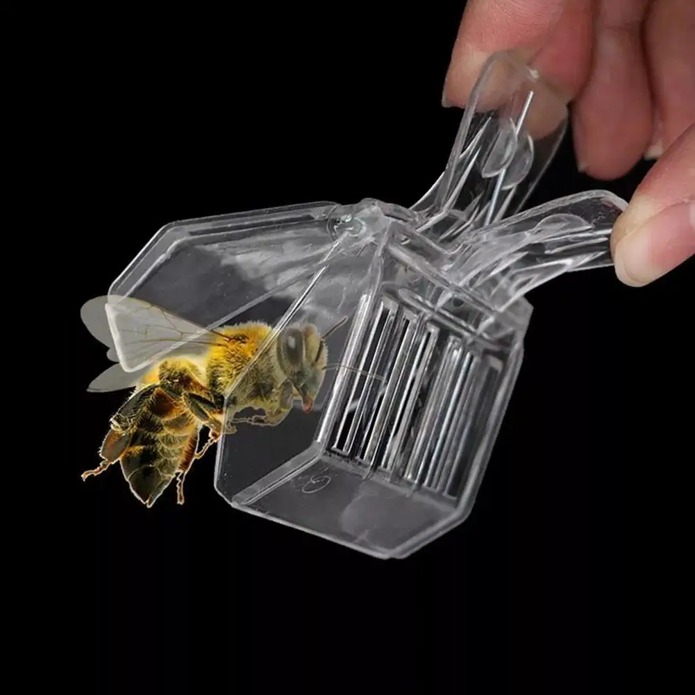 5pcs/1pc Plastic Book Clip Type Queen Cage Transparent Queen Catching Clamp Bee Controller Beekeeping Tools,beekeeping tools,beekeeping accessories