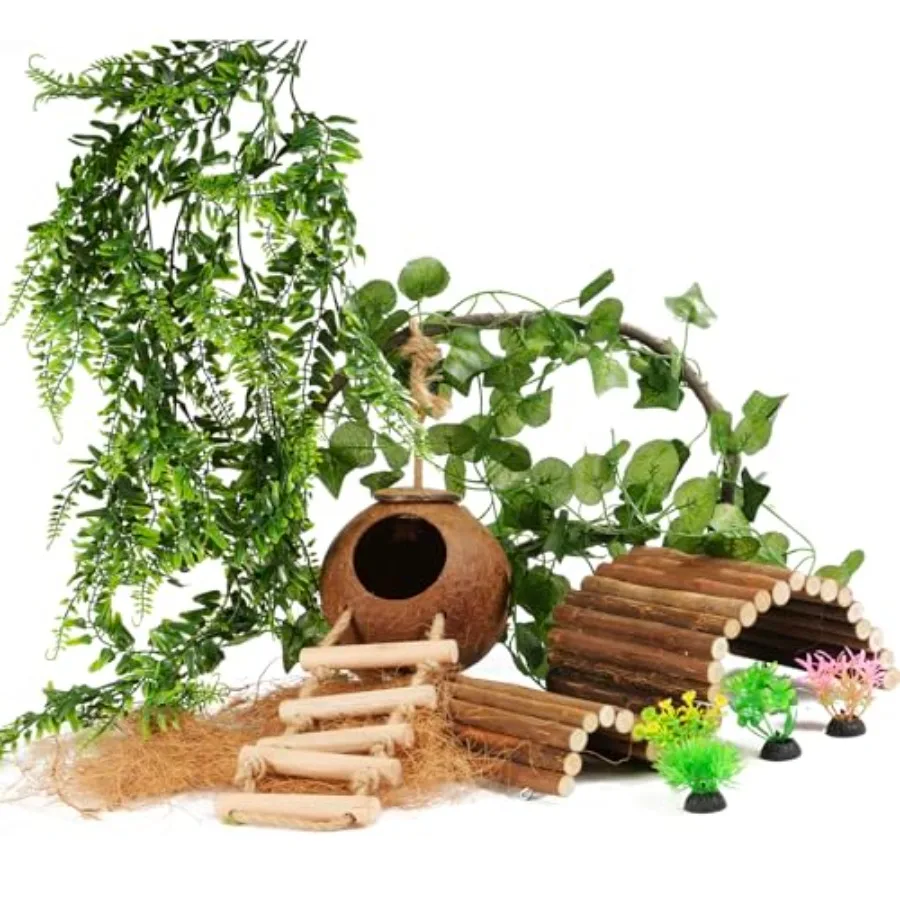 Crested Gecko Tank Set 1