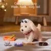 Electronic Plush Puppy Dog Toy  Fun Interactive Toys Walks Barks Shake Tail Dress Up Realistic Stuffed Animal Dog Gift for Girls 4